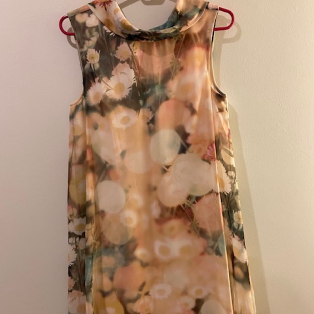 Ted Baker Dress